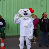 HSH Nordbank Lauf 2014