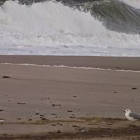 12. Segeln auf der Aussenalster 2015 12. Segeln auf der Aussenalster 2015