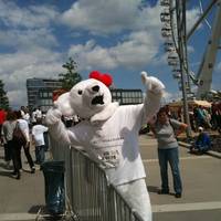 HSH Nordbanklauf 2011 zum fuenften Mal dabei HSH Nordbanklauf 2011 zum fuenften Mal dabei