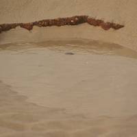 Medien und Kreativseminar Sylt 2012