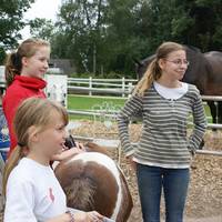 Besuch auf dem Hof der gluecklichen Pferde am 1. und 2. September 2012