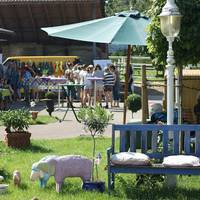 Tag der offenen Tuer auf dem Hof der gluecklichen Pferde am 19.8.2012