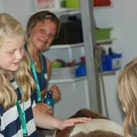 Tag der offenen Tuer auf dem Hof der gluecklichen Pferde am 19.8.2012