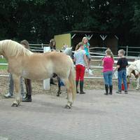 Hof der gluecklichen Pferde