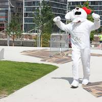 HSH Nordbanklauf 2011 zum fuenften Mal dabei HSH Nordbanklauf 2011 zum fuenften Mal dabei