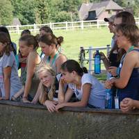 Tag der offenen Tuer auf dem Hof der gluecklichen Pferde am 19.8.2012