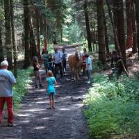 Hof der gluecklichen Pferde Hof der gluecklichen Pferde