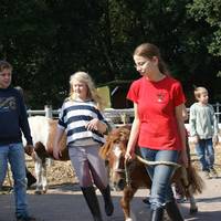 Besuch auf dem Hof der gluecklichen Pferde am 1. und 2. September 2012 Besuch auf dem Hof der gluecklichen Pferde am 1. und 2. September 2012