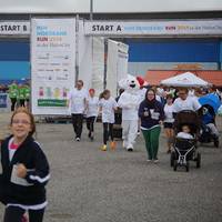 HSH Nordbank Lauf 2014